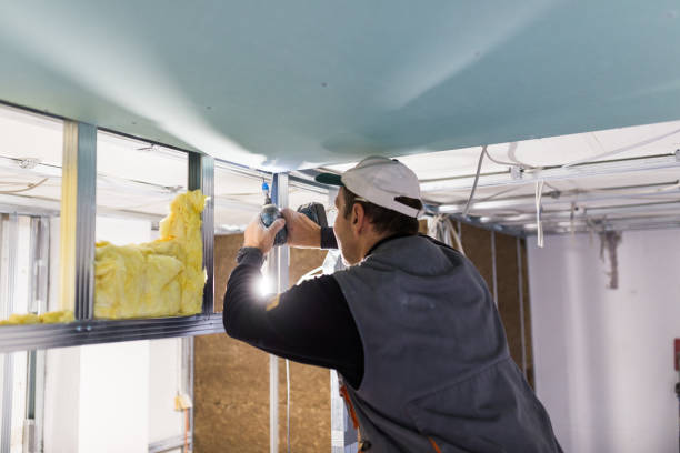 Best Commercial Insulation Contractor  in Artesia, NM