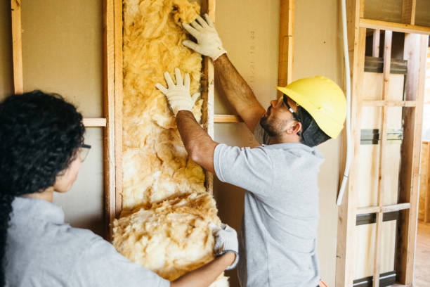 Professional Insulation Contractor in Artesia, NM